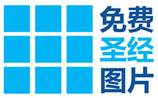New Chinese logo