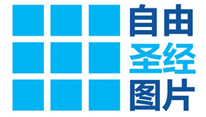 Chinese site logo